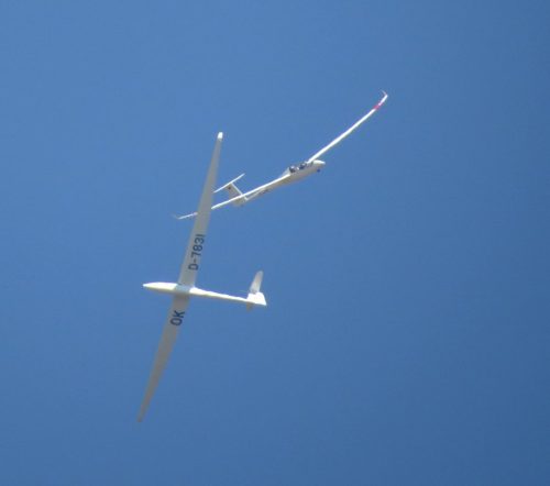 2019 010 D-2249D-7831