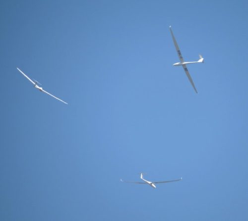 2019 011 D-2249D-7831