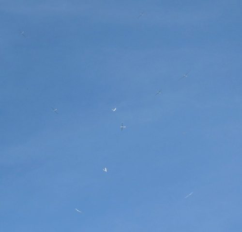 2024 009 MoenchsheideMehrere-Flugzeuge