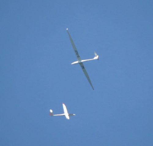 2024 010 D-3225D-7437