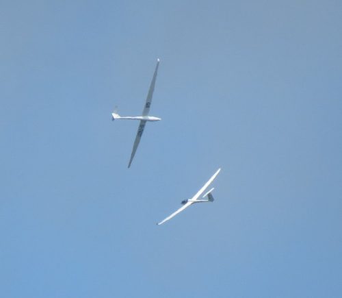 2025 002 D-7437