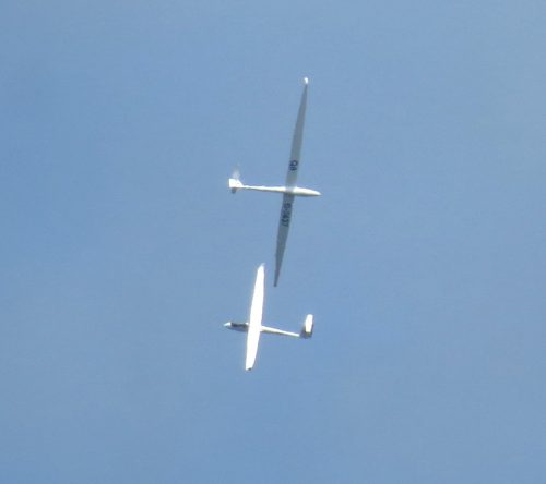2025 003 D-7437