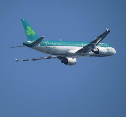 AerLingus04