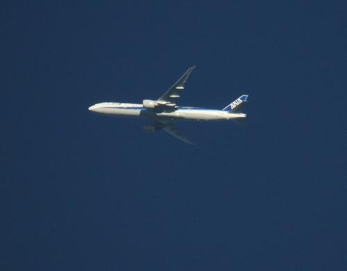 AllNipponAirways02