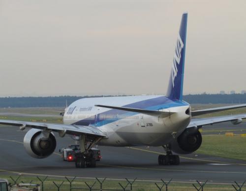 AllNipponAirways06