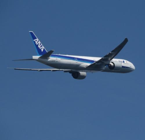 AllNipponAirways10