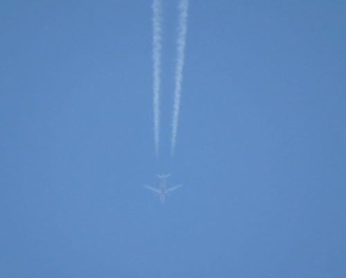 Animawings01