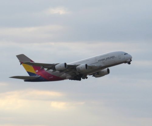 AsianaAirlines08