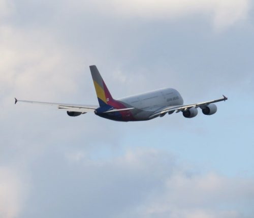 AsianaAirlines10