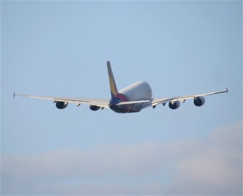 AsianaAirlines11