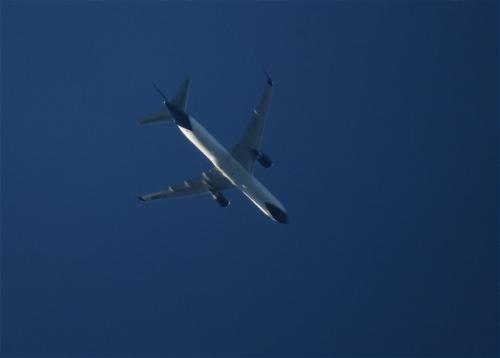 BluePanoramaAirlines02