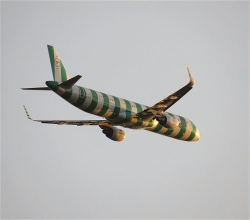 CondorFlugdienst29