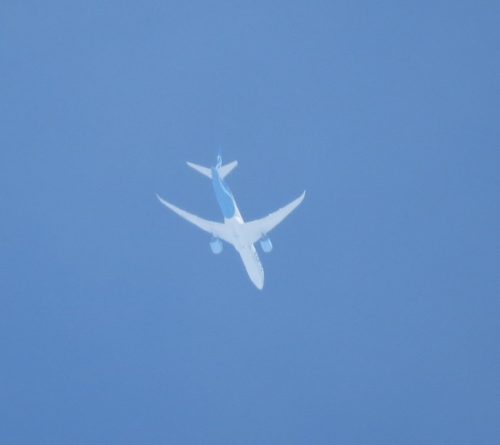 IndiGoAirlines01