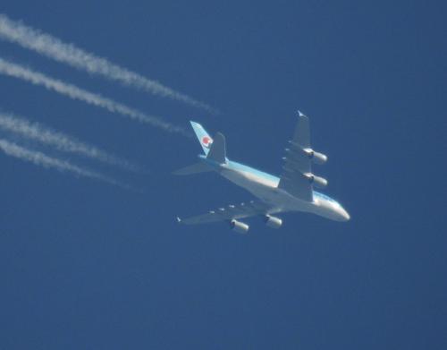 KoreanAir02