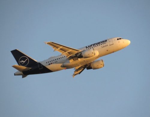 Lufthansa41