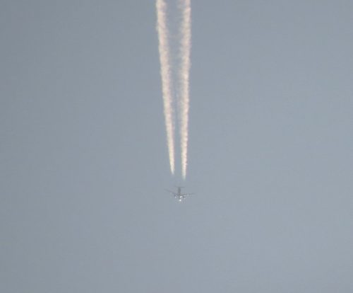MaviGoekAirlines01