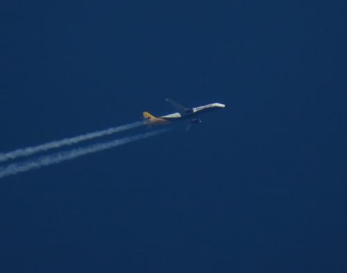 MonarchAirlines01