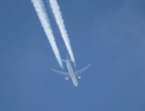 NordwindAirlines03