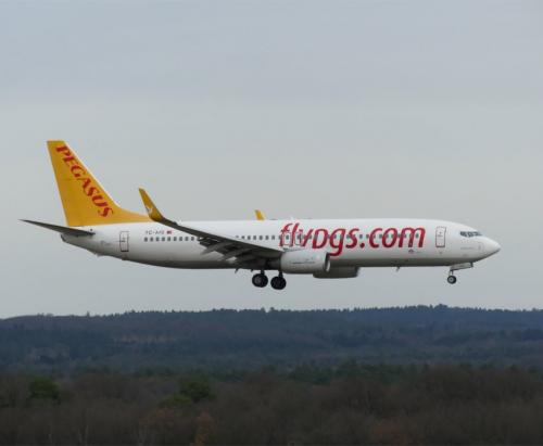 PegasusAirlines03