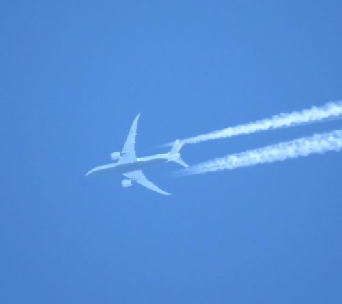 RoyalBruneiAirlines01