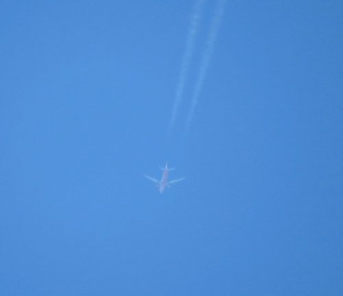 SkyUpAirlines01