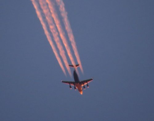 NATO-HeavyAirliftWing C17A-Globem.III 08-0001 02