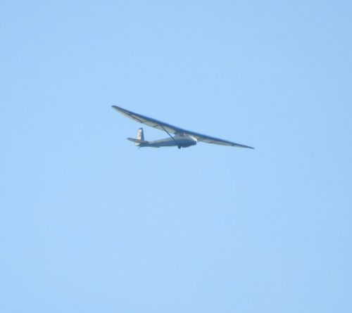 Glider-BGA-3385 01