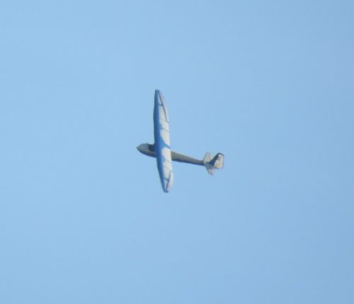 Glider-BGA-3385 02