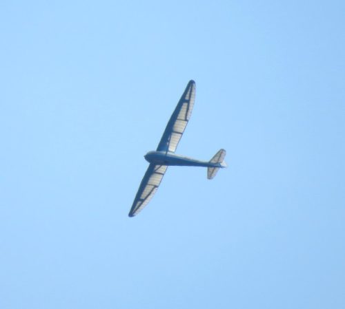 Glider-BGA-3385 03