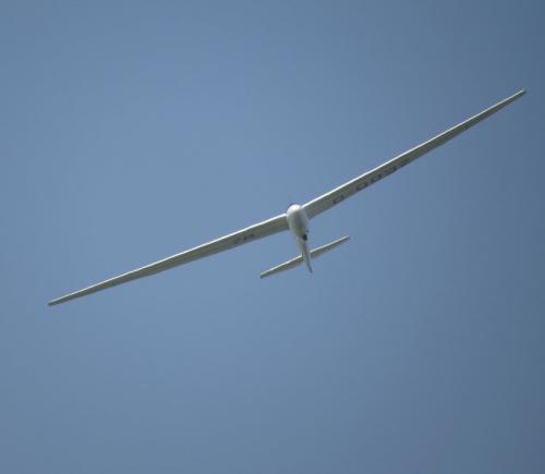 Glider-D-0092-02