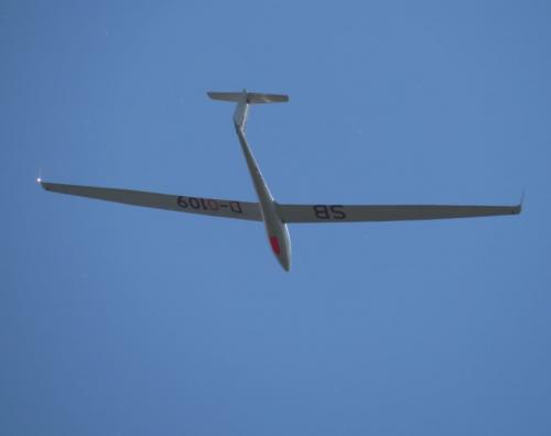 Glider-D-0109-01