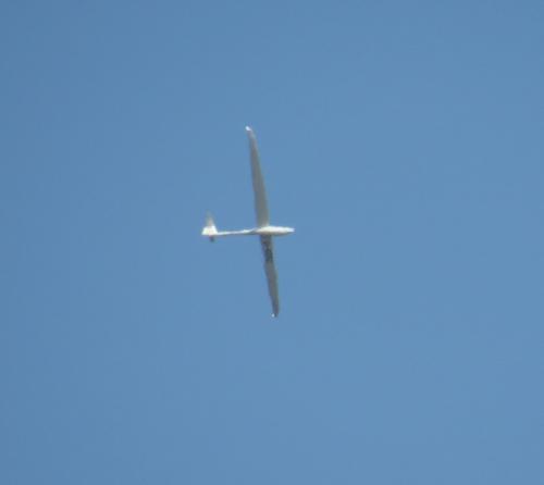 Glider-D-0202-01