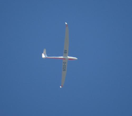 Glider-D-0326-01