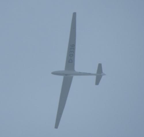 Glider-D-0336-01