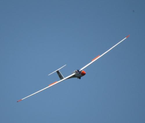 Glider-D-0364-06