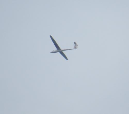 Glider-D-0395-01