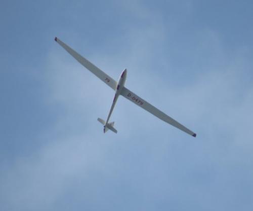 Glider-D-0479-01