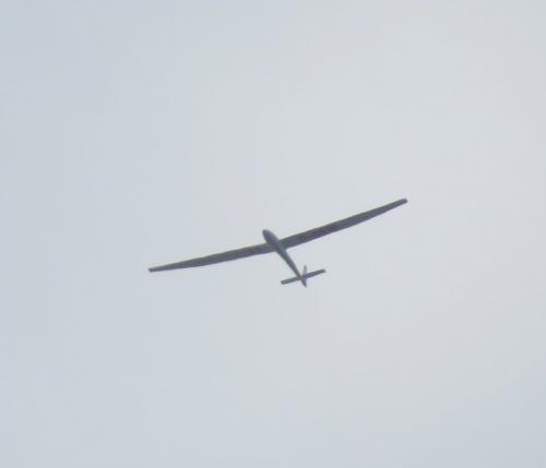 Glider-D-0516-01