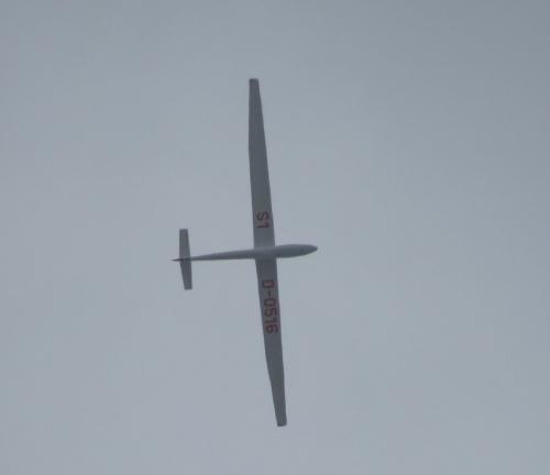 Glider-D-0516-02