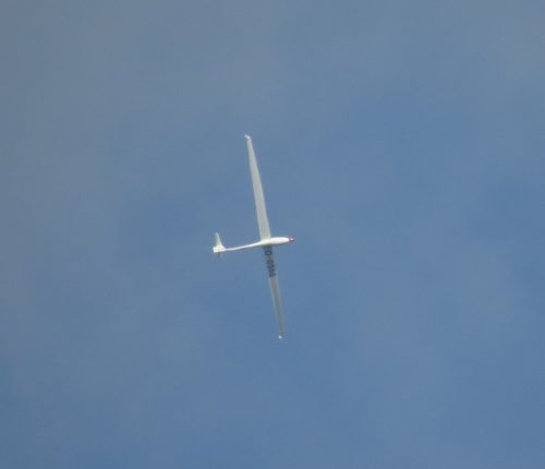 Glider-D-0555-01
