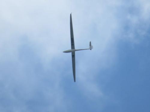 Glider-D-0601-01