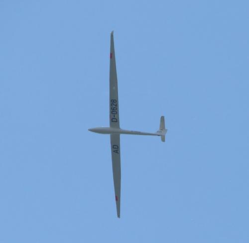 Glider-D-0628-03