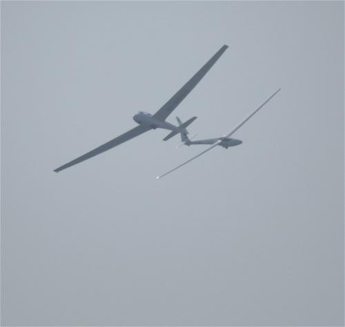 Glider-D-0663-06