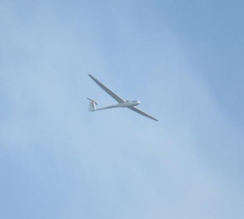 Glider-D-0670-01