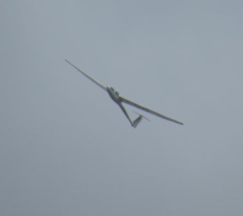 Glider-D-0670-03