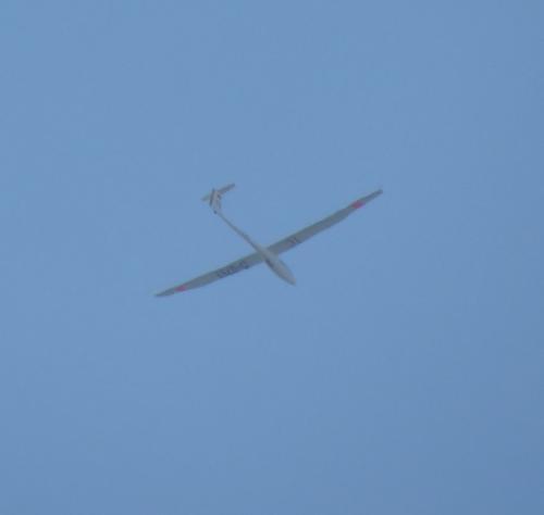 Glider-D-0751-01