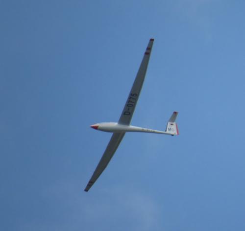 Glider-D-0775-01