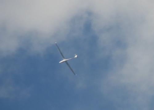 Glider-D-0787-01