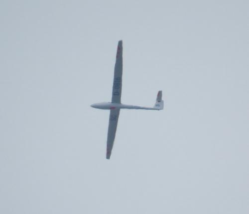 Glider-D-0816-01