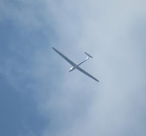 Glider-D-0816-02